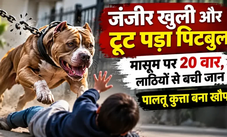 जंजीर खुलते ही झपटा पिटबुल, घर में खेल रहे 11 साल के मासूम को 20 जगह नोंचा; पड़ोसियों ने लाठियों से बचाई जान Pitbull