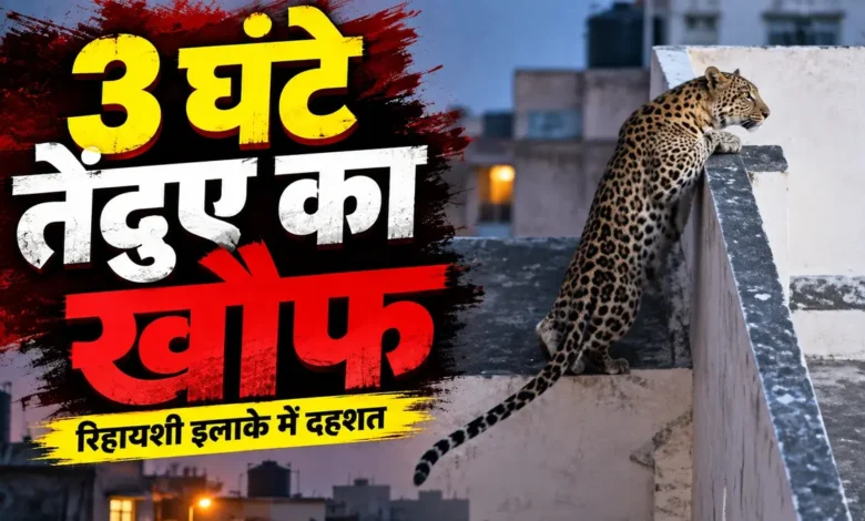 leopard | जयपुर मालवीय नगर तेंदुआ रेस्क्यू झालाना जंगल