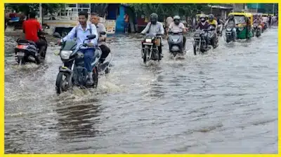 Rainfall Latest News