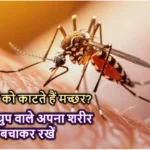 mosquito bite New Research