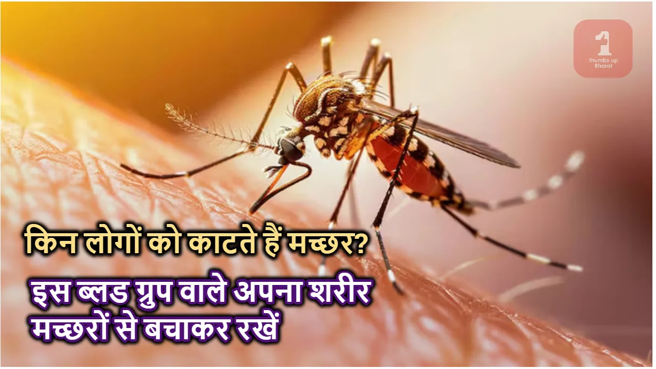 mosquito bite New Research