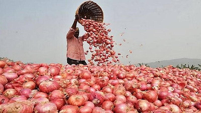 Onion Price india