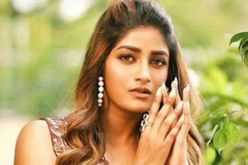 Dimple Hayathi controversy