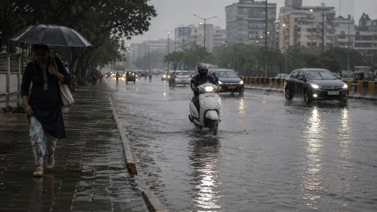 Heavy Rain Alert