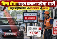No Insurance No Fuel