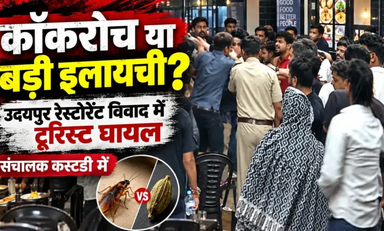 Udaipur Restaurant Fight